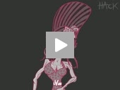 Matt Buck 2D Animation Cartoon Example Matt Buck 2D Animation Cartoon Example